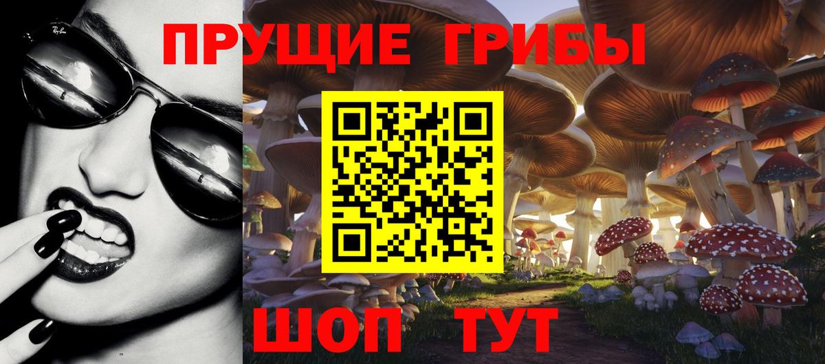 Псилоцибиновые грибы мицелий  Псилоцибиновые грибы Magic Shrooms  Вход с VPN  Ржев 